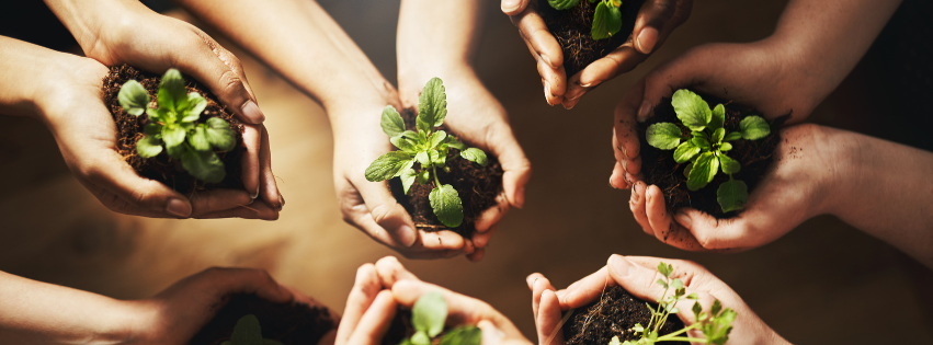 "Several hands holding dirt with small sprouts growing from it."