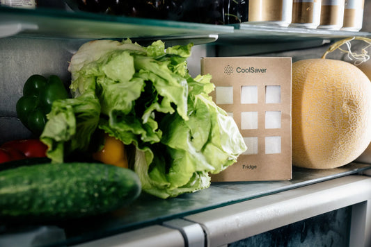 A fridge full of vegetables and other fresh fruit. A Coolsaver Panel is in the fridge.